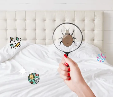 You are currently viewing How to keep bed bugs from coming back