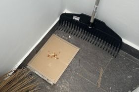 Before